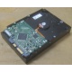 Жесткий диск HP 250Gb 7200 rpm 432337-001/ 399699-001 / 397377-004 (Белгород)