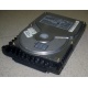 Жесткий диск 18.4Gb Quantum Atlas 10K III U160 SCSI (Белгород)