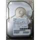 Жесткий диск 18.2Gb IBM Ultrastar DDYS-T18350 Ultra3 SCSI (Белгород)