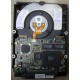 Жесткий диск 18.2Gb IBM Ultrastar DDYS-T18350 Ultra3 SCSI (Белгород)