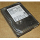 HDD 500Gb Hitachi HDS721050DLE630 донор на запчасти (Белгород)