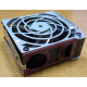 HP 224977 (224978-001) for Proliant ML370 G2/G3/G4 (Белгород).