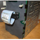 HP 365664-001 кабель SCSI для корзины 373108-001 / 359719-001 HP ML370G4 (Белгород)