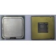 Процессор Intel Celeron D 336 (2.8GHz /256kb /533MHz) SL98W s.775 (Белгород)