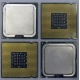 Процессоры Intel Pentium-4 506 (2.66GHz /1Mb /533MHz) SL8J8 s.775 (Белгород)