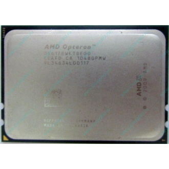 AMD Opteron 6128 OS6128WKT8EGO (Белгород)