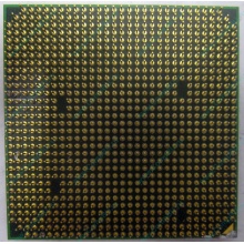 Процессор AMD Athlon 64300+ (1.8GHz) ADA3000IAA4CN s.AM2 (Белгород)