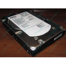 Жесткий диск 300Gb 15k Dell 9CH066-050 6G SAS (Seagate Cheetach ST3300656SS 15K.6) - Белгород